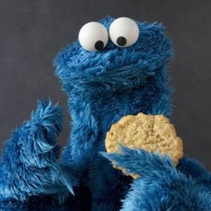 Meet your Posher, Rob